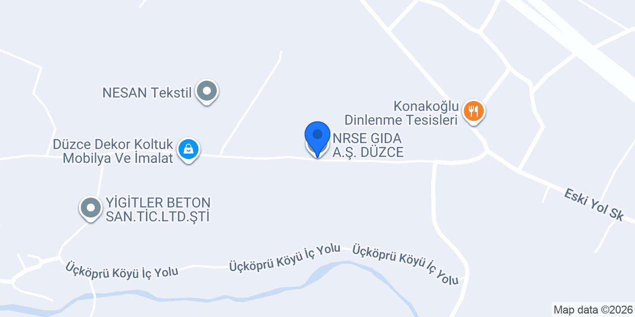 NRSE GIDA A.Ş. DÜZCE konumu