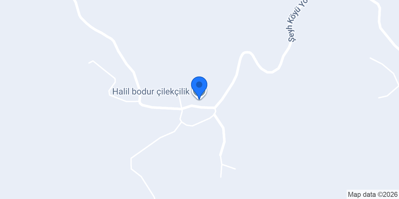 Halil bodur çilekçilik konumu
