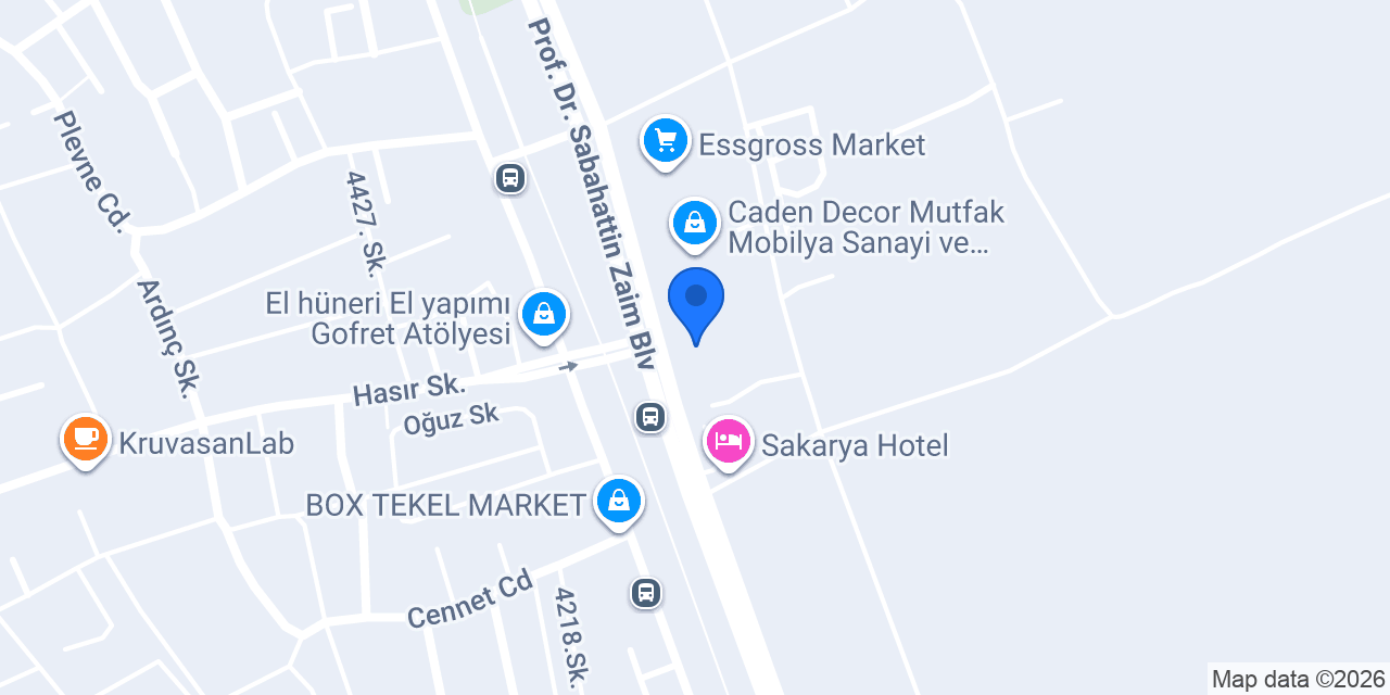 ÖZEL KALE OKULLARI SAKARYA KAMPÜS konumu