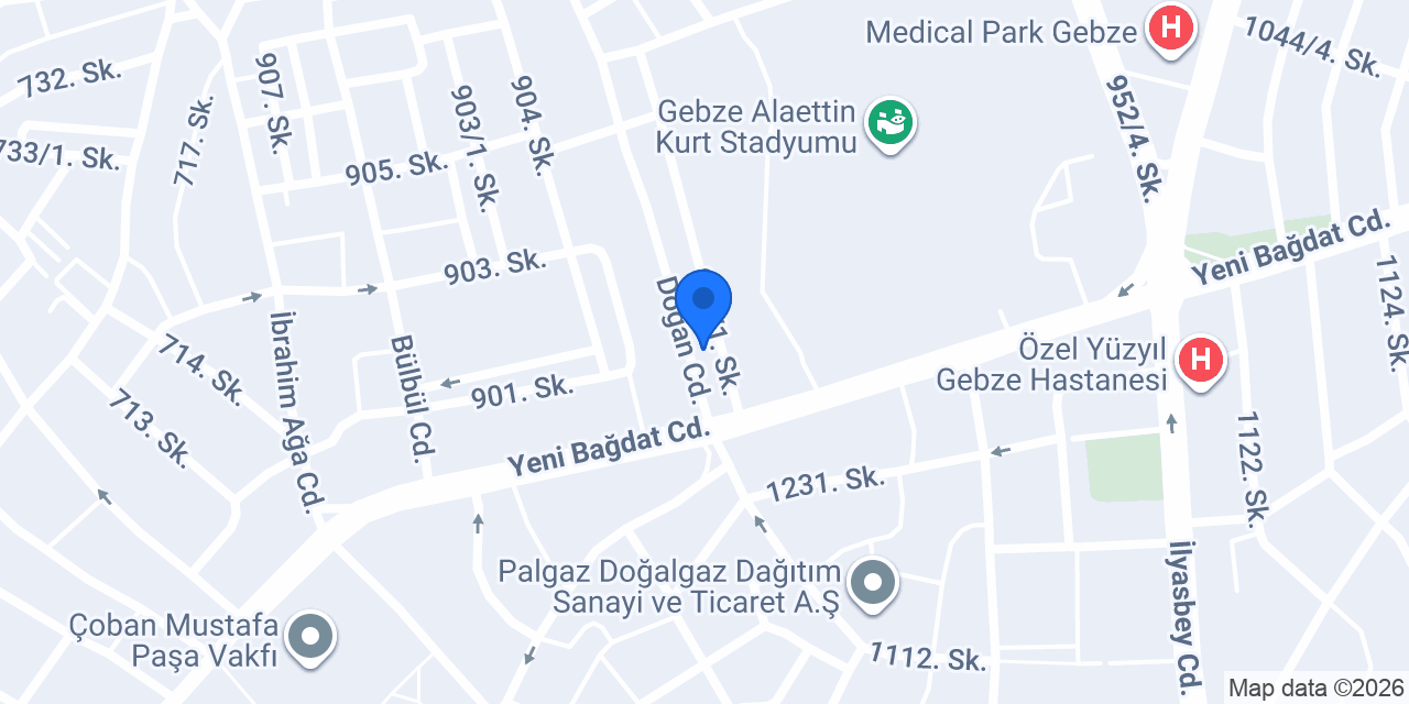 Pasaport Pizza Gebze konumu