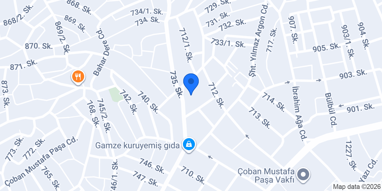 PİKACHU ELEKTRİK konumu