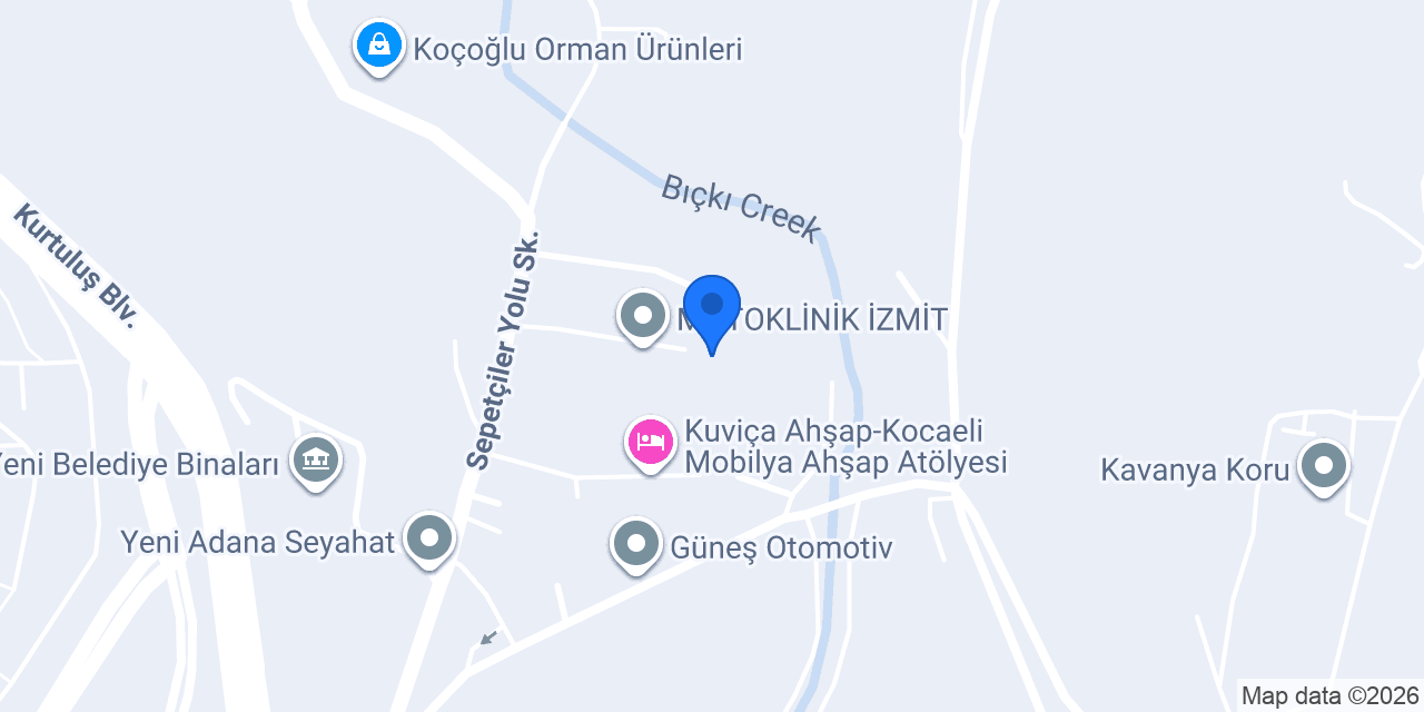ELSAN EBONİT LASTİK İMALAT KAPLAMACILIK VE TİC.A.Ş. konumu
