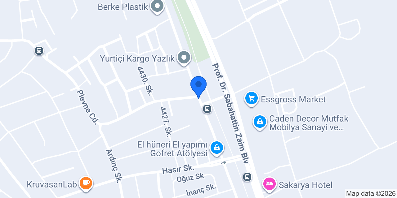Doğu Marmara Sağlık Meslek Lisesi konumu
