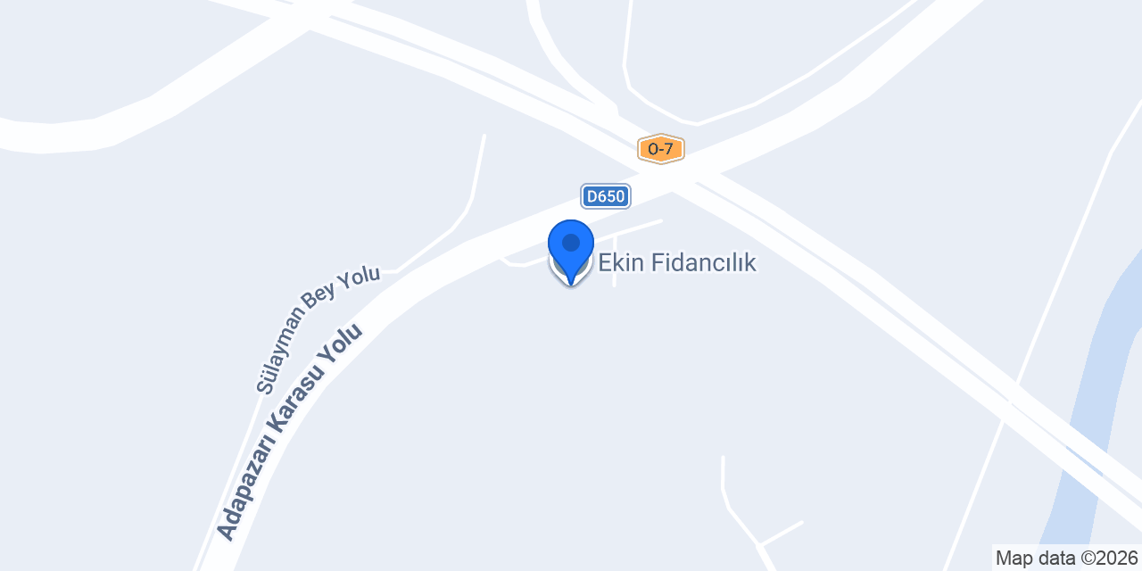 Ekin Fidancılık konumu