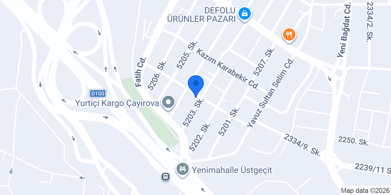 ASEL SİNEKLİK konumu