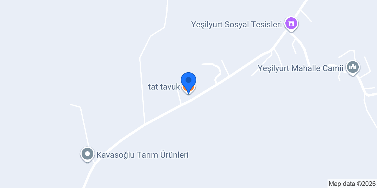 tat tavuk konumu