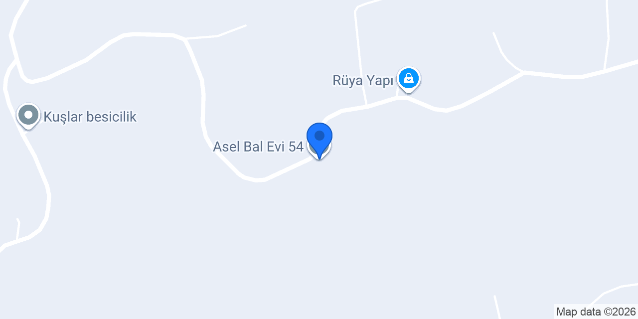 Asel Bal Evi 54 konumu