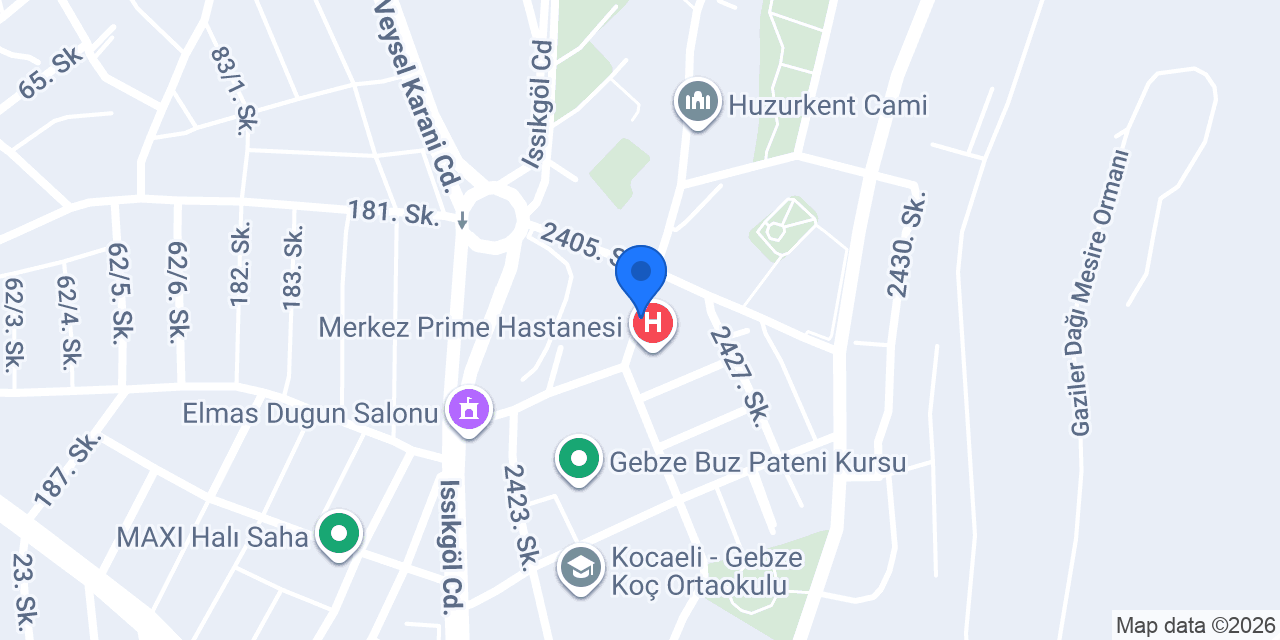 GEBZE ELEKTRİK (SERVİS HATTI) konumu