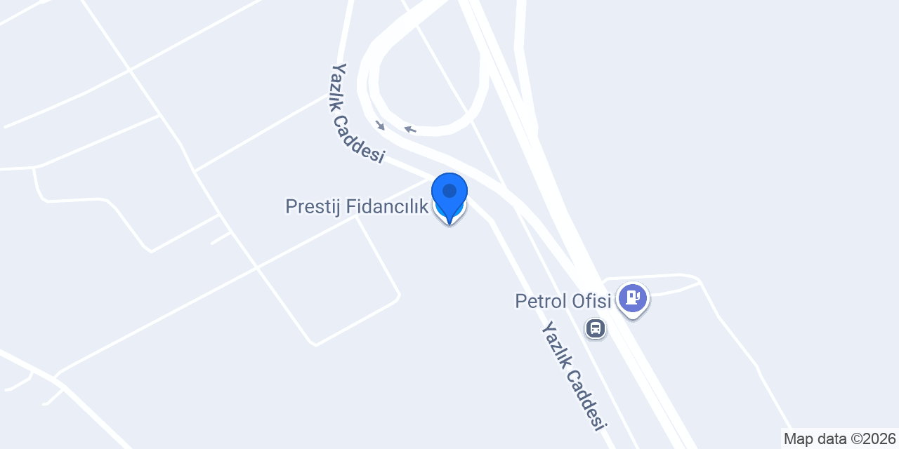 Prestij Fidancılık konumu