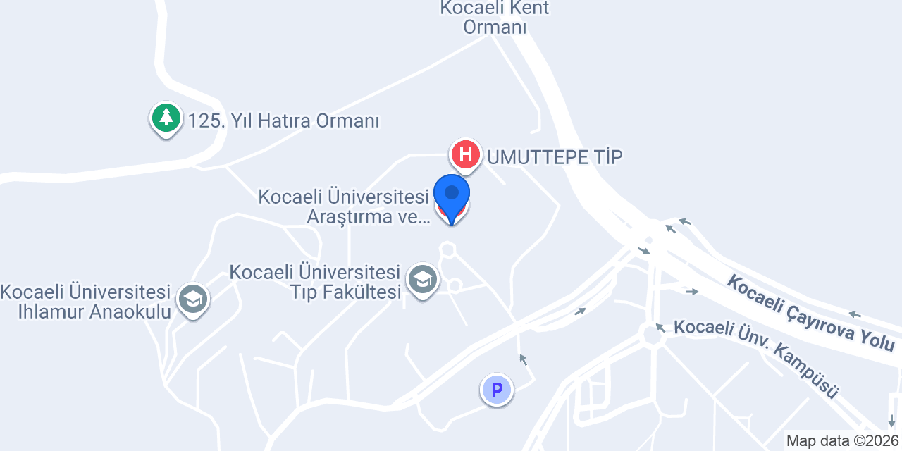 Doç.Dr. Abdullah Demirbaş konumu