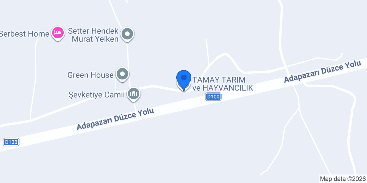 TAMAY TARIM ve HAYVANCILIK konumu