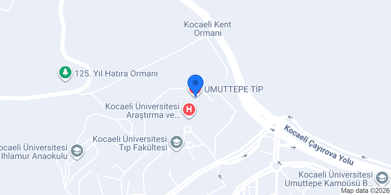 Doç. Dr. Hasan Yılmaz konumu