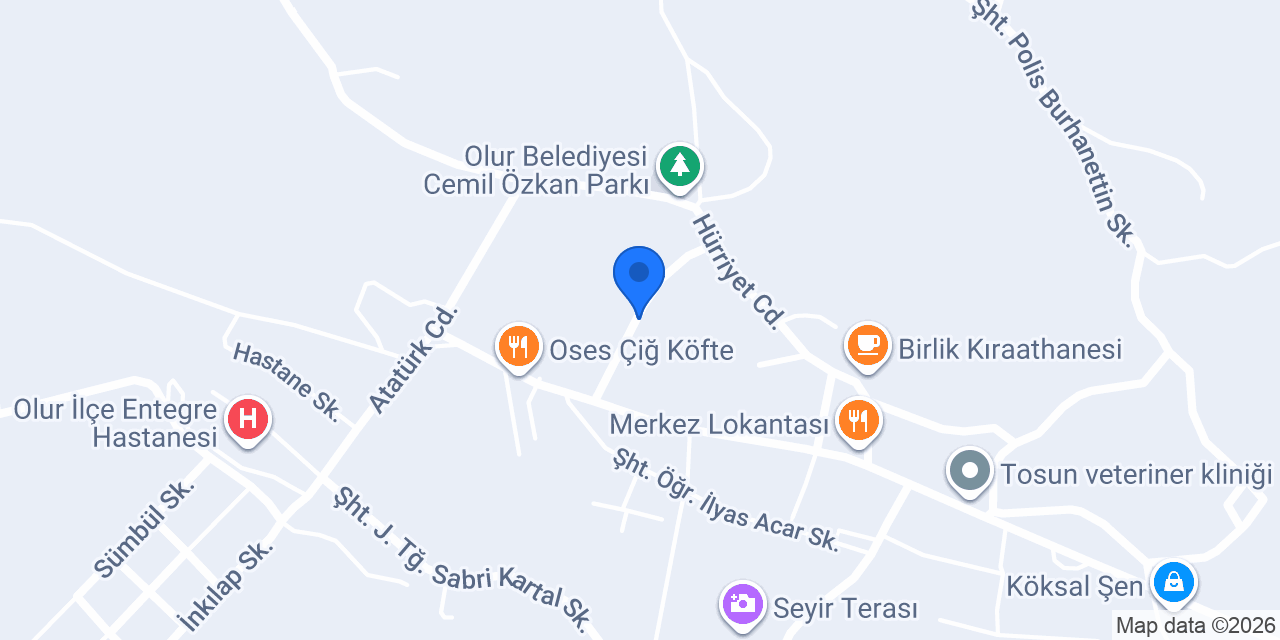 Olur Anaokulu konumu