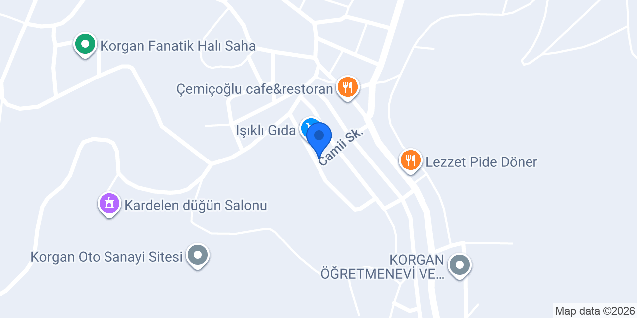 Korgan Terapi Evim konumu