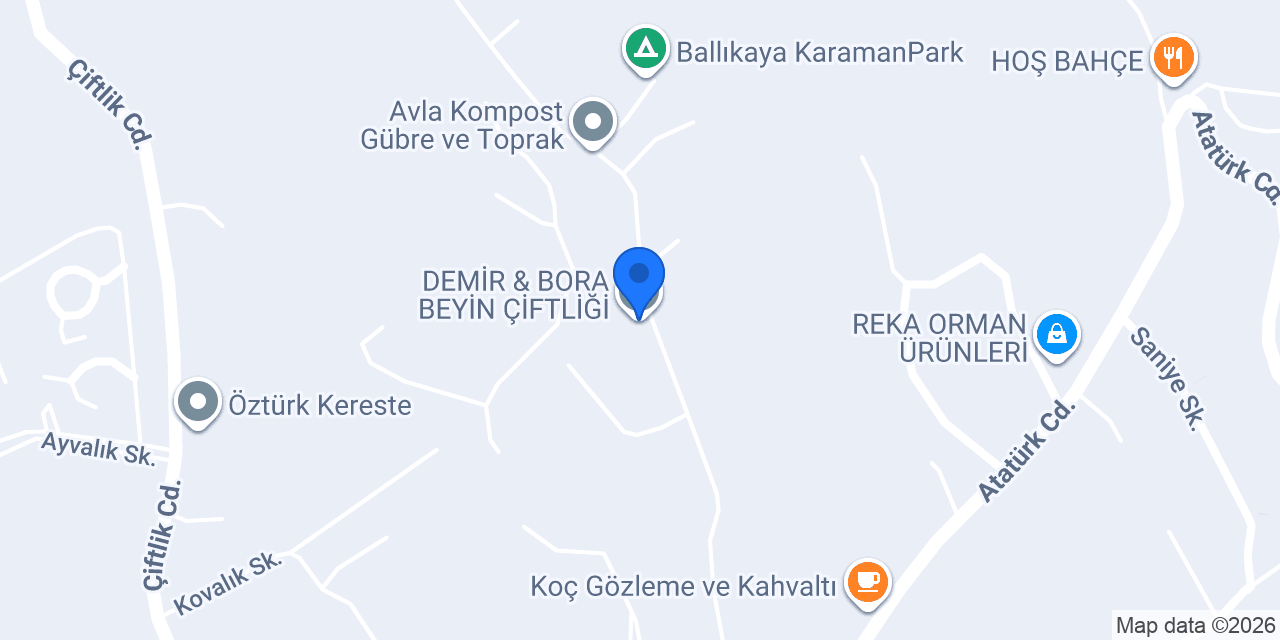 DEMİR & BORA BEYİN ÇİFTLİĞİ konumu