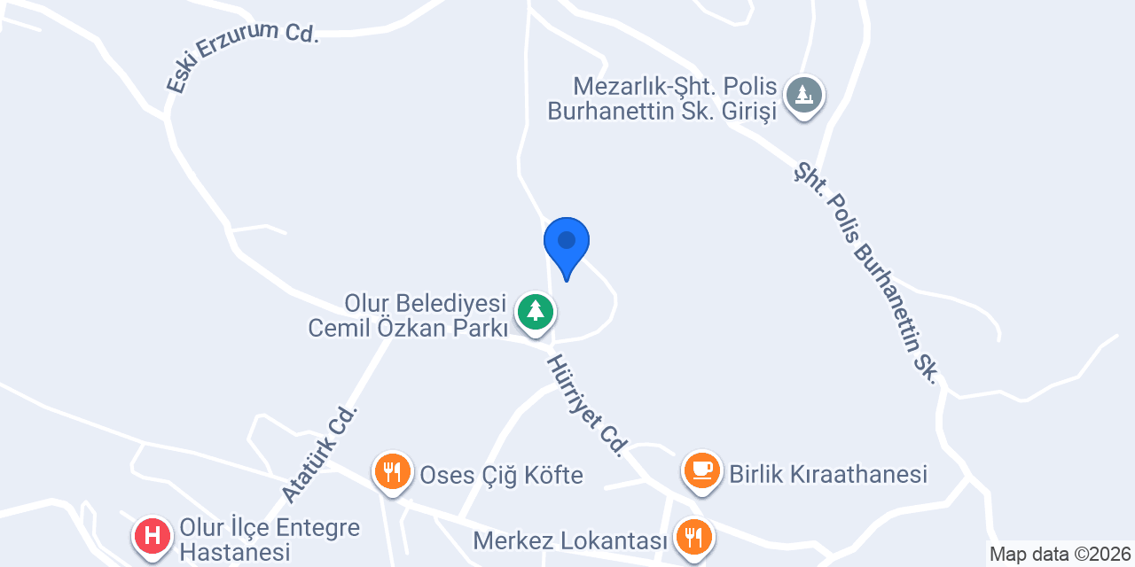Şimşek oto konumu