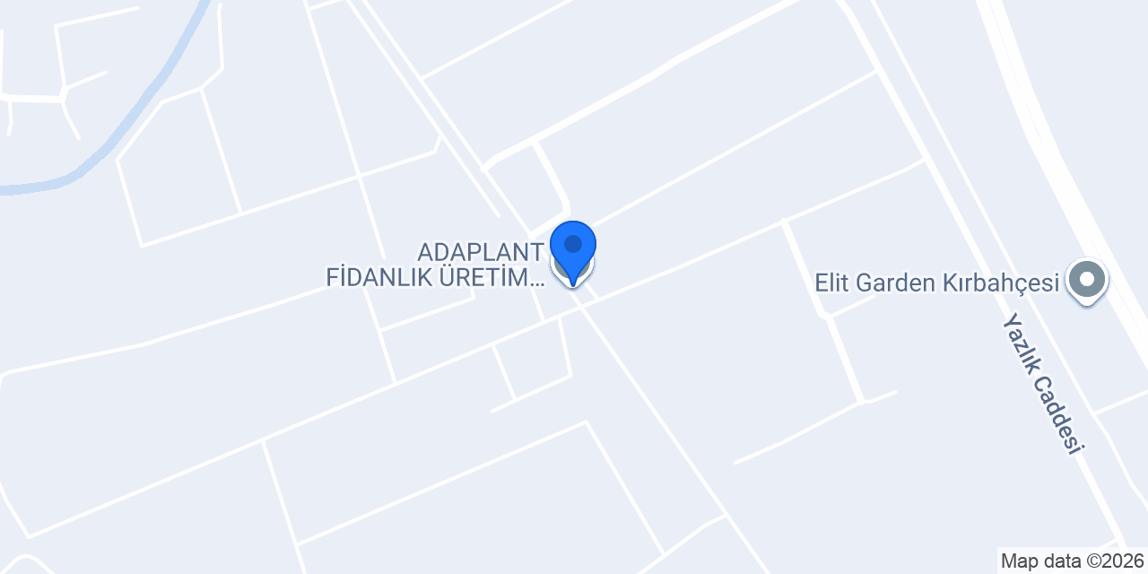 ADAPLANT FİDANLIK ÜRETİM ve TİCARET A.Ş. konumu