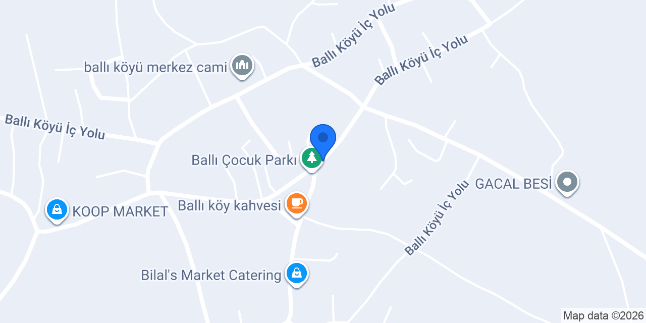 Ballı İlköğretim Okulu konumu