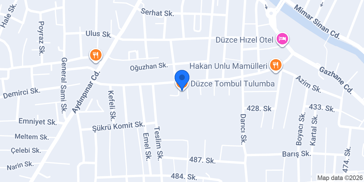 Düzce Tombul Tulumba konumu