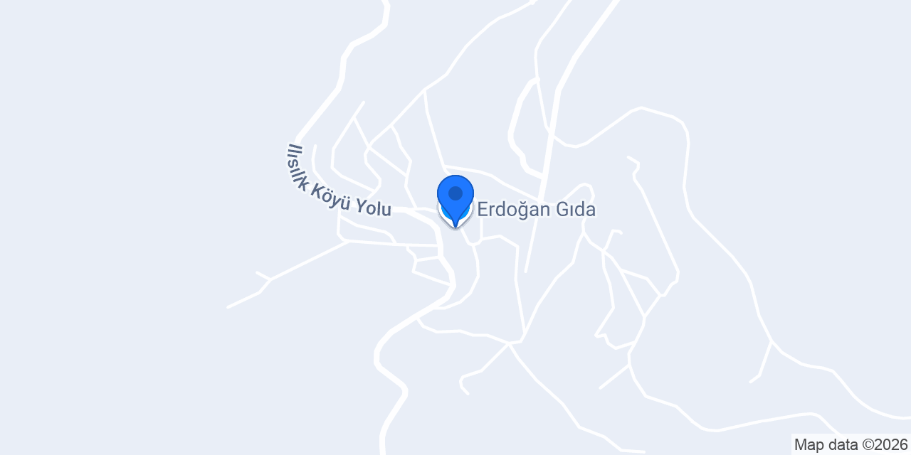 Erdoğan Gıda konumu