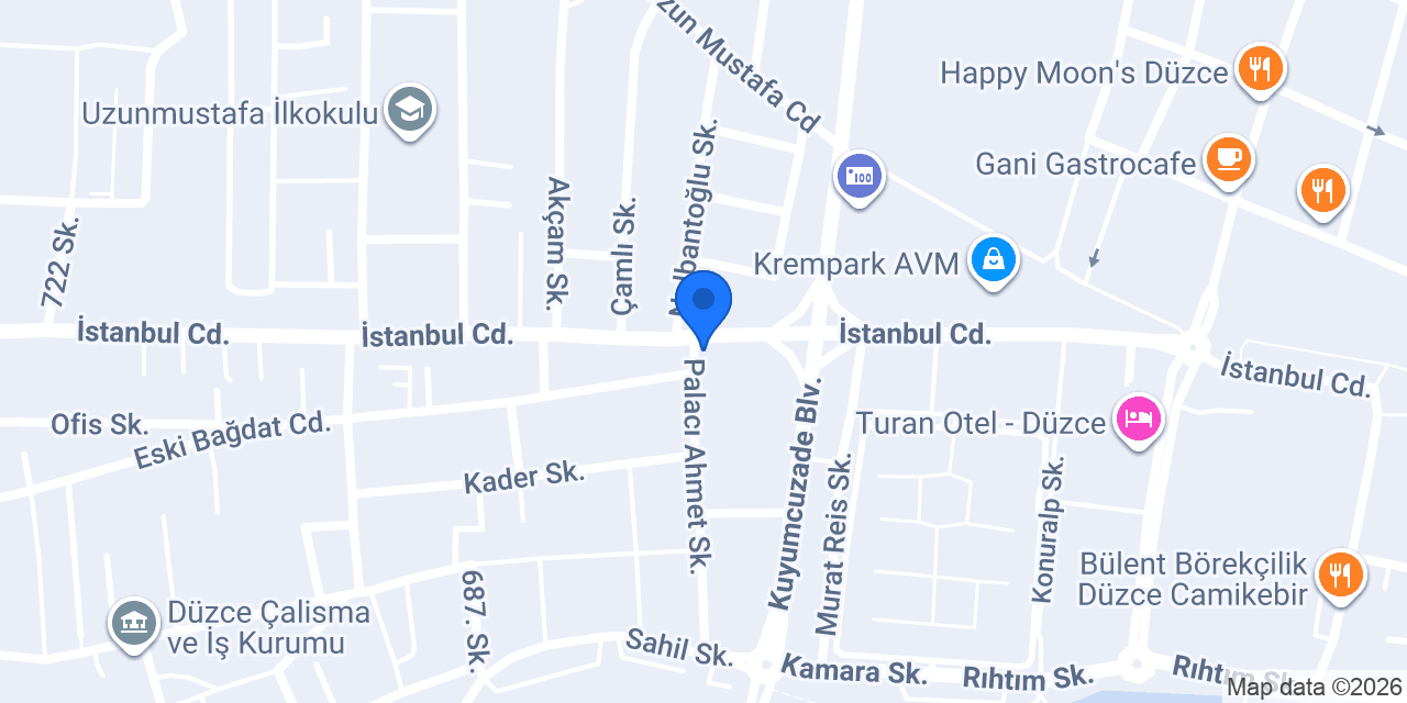 Düzce İdeal Konuk Evi konumu