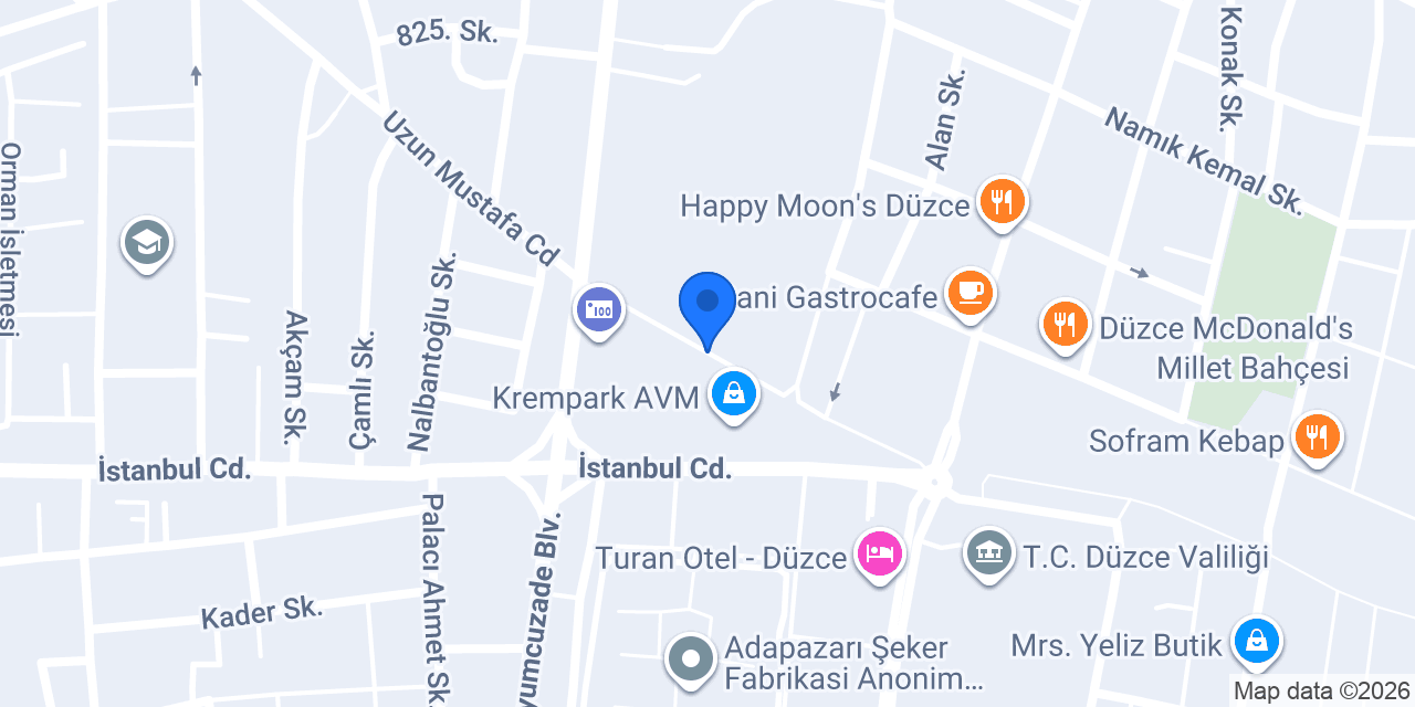 Düzce Boya Badana konumu