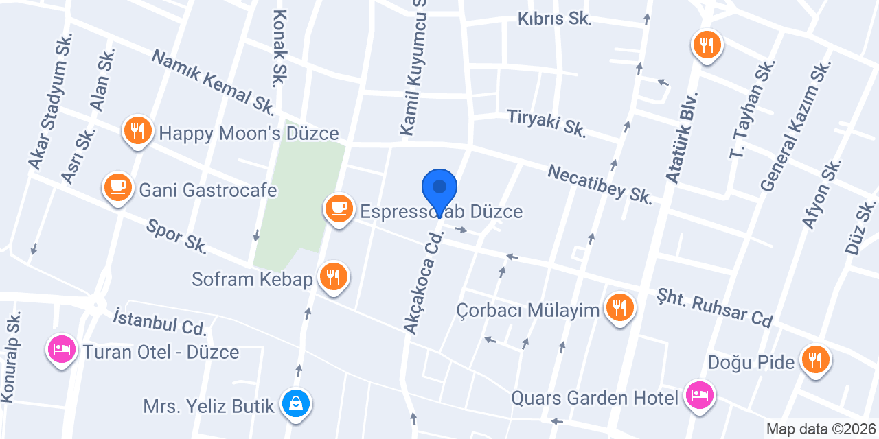 HİKVİSİON DÜZCE ÖZEL SERVİS konumu