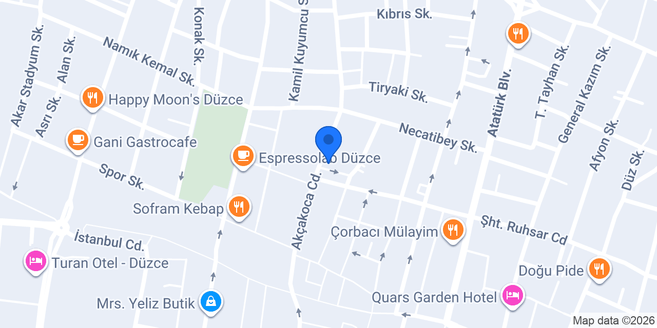 Palmiye Çiçekçilik konumu