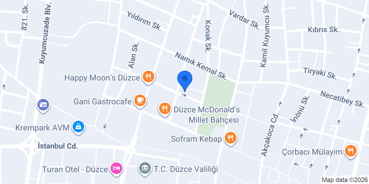 Profesör Doktor Emin Özlü Klinik konumu