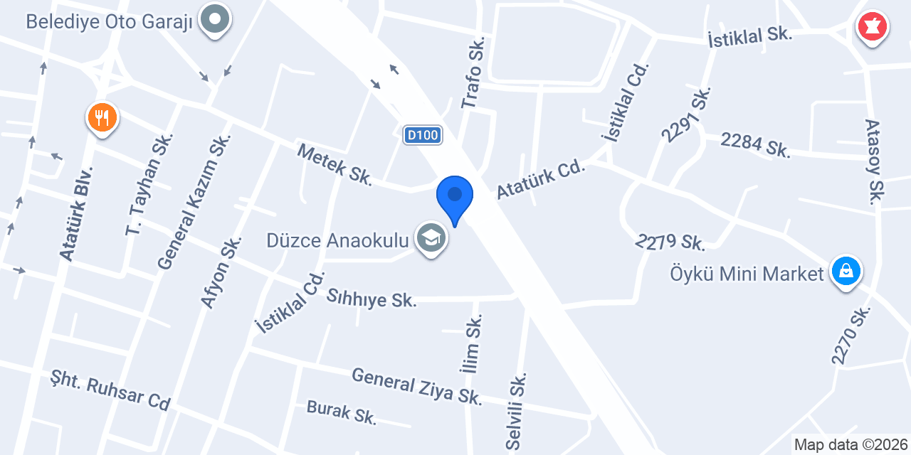 Düzce Ege Koltuk Yıkama konumu