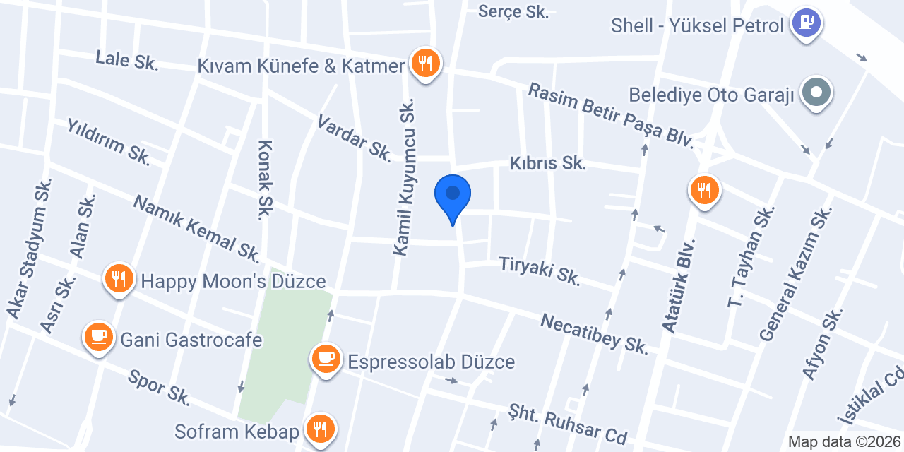 Düzce Çevre ve OSGB (DÜZÇEV) konumu