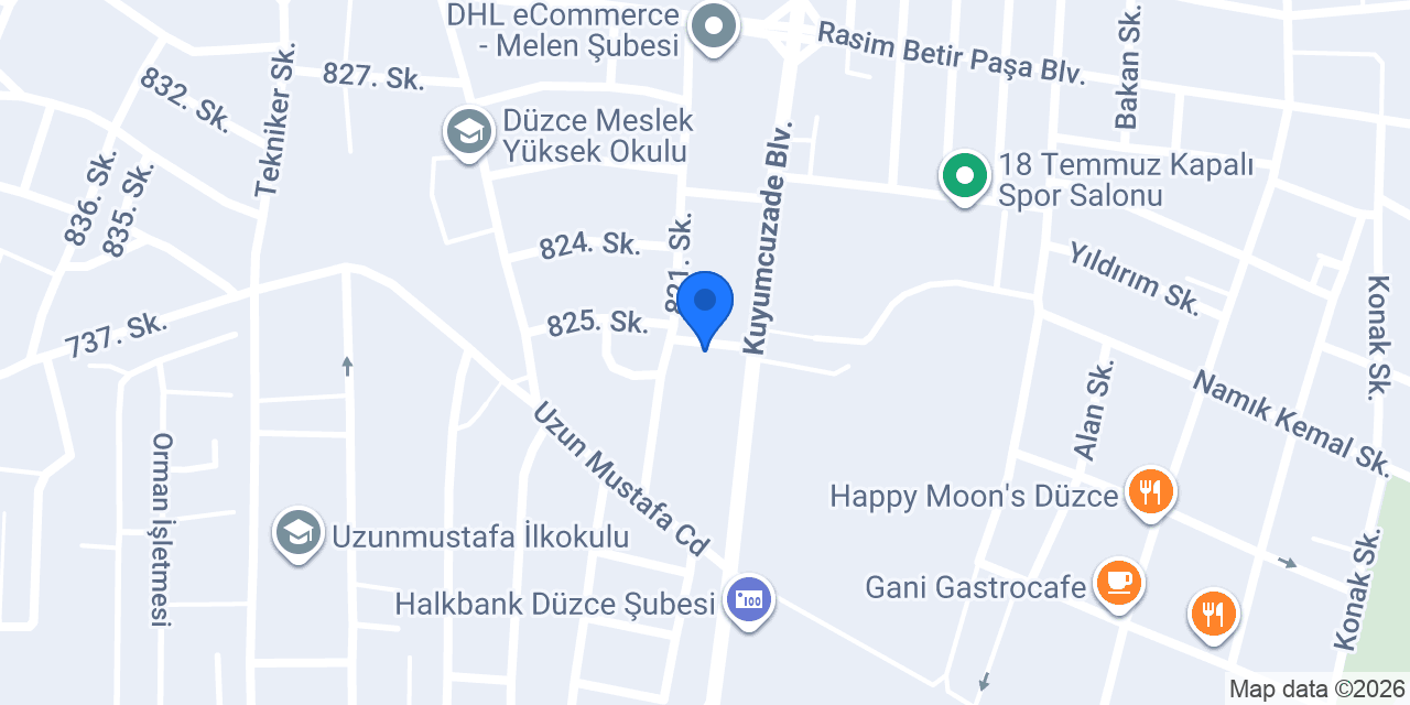 Pasaport Pizza Düzce konumu
