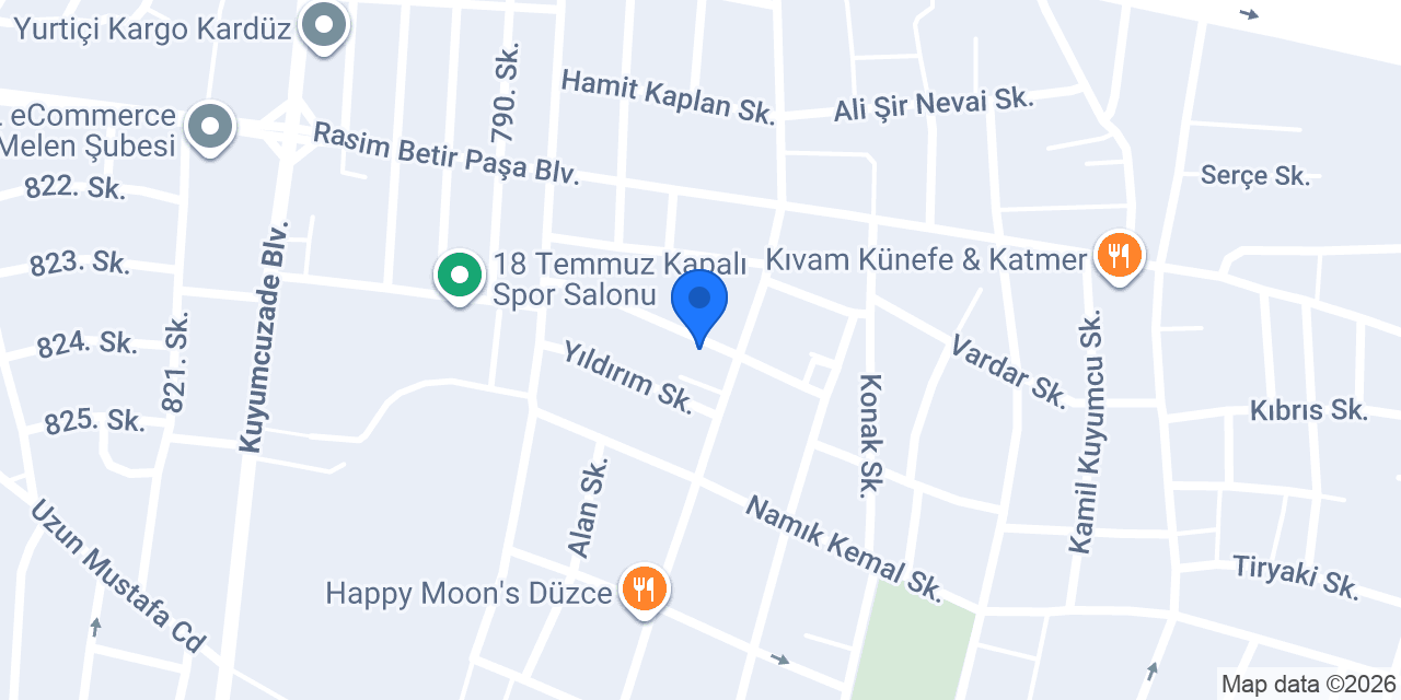 ASLAN ELEKTRİK konumu