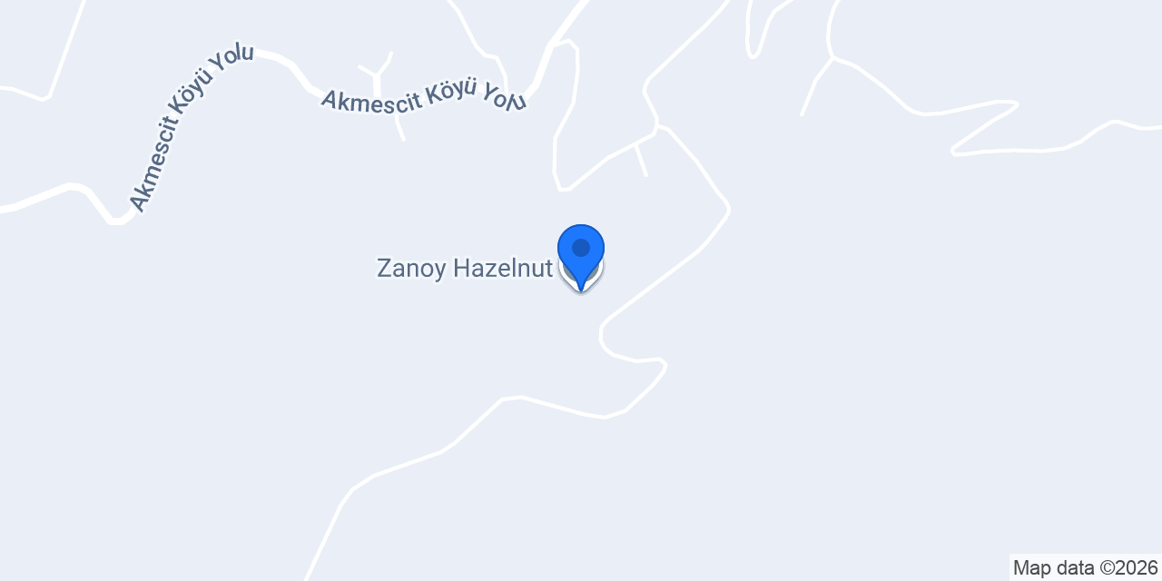 Zanoy Hazelnut konumu