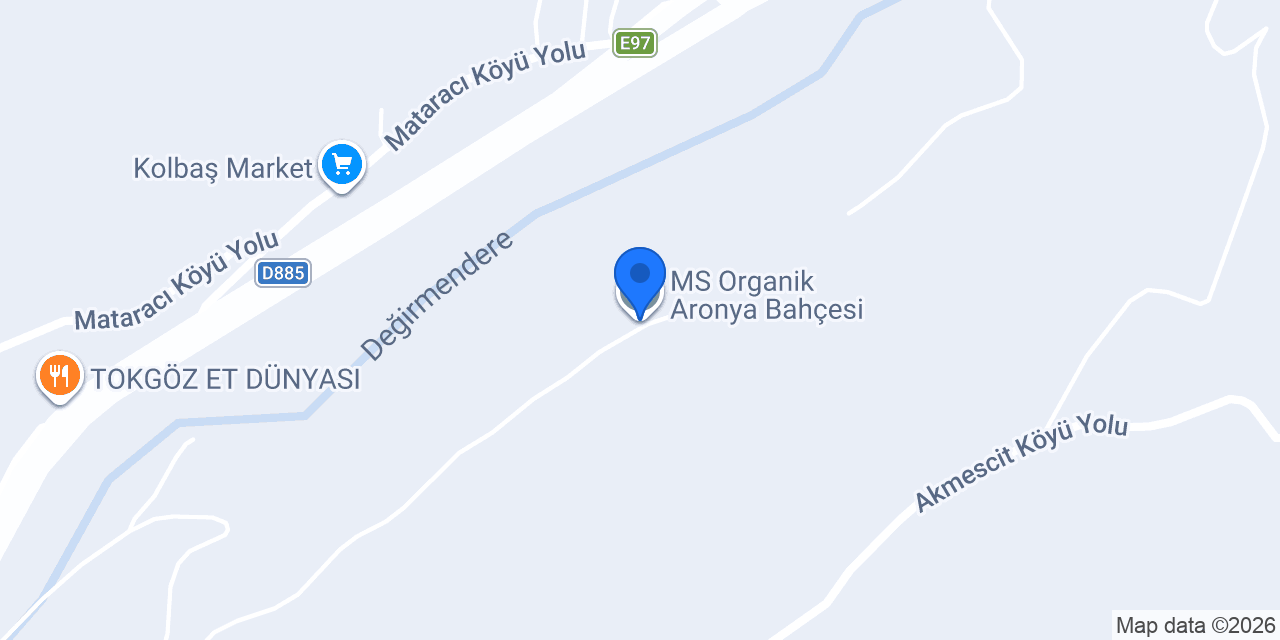 MS Organik Aronya Bahçesi konumu