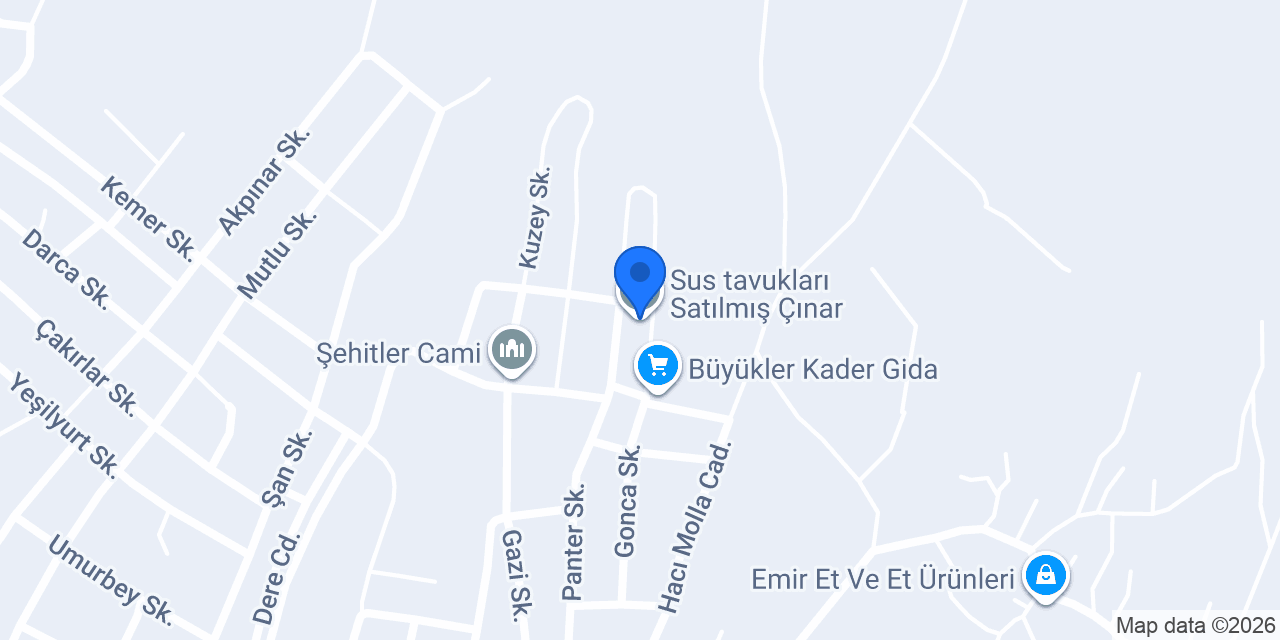 Sus tavukları Satılmış Çınar konumu