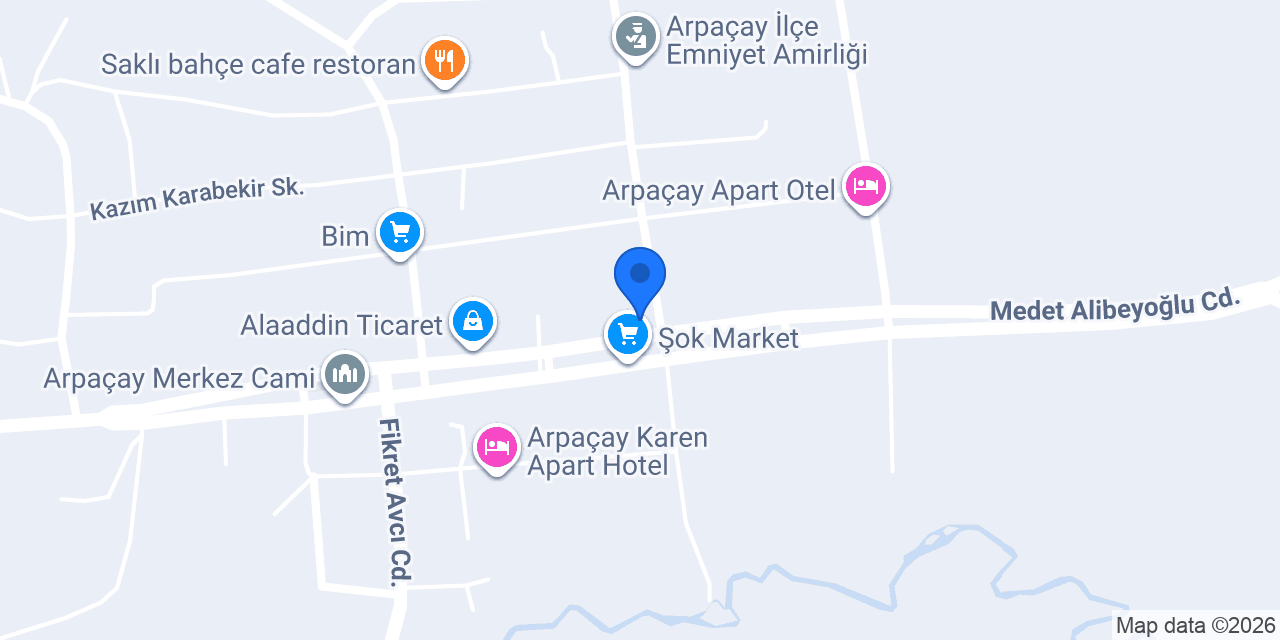 Arpaçay Anaokulu konumu