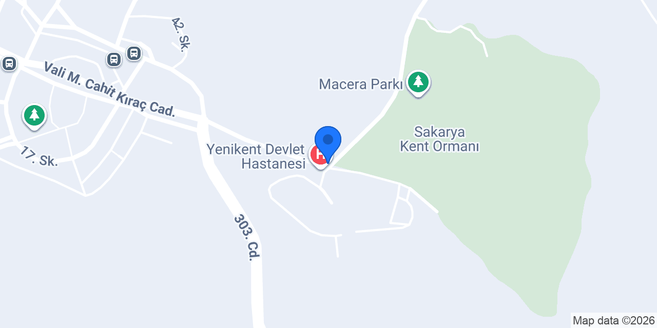 Yenikent Hastane Taksi konumu