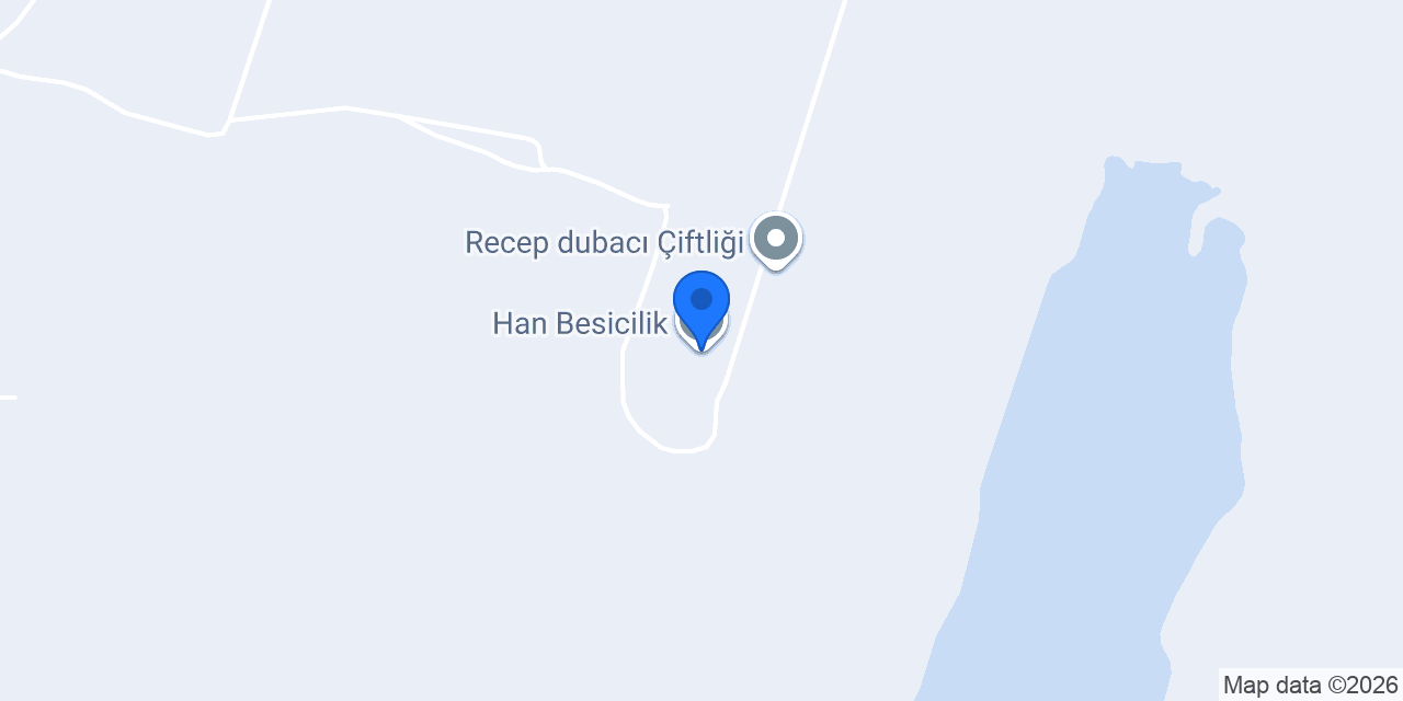Han Besicilik konumu