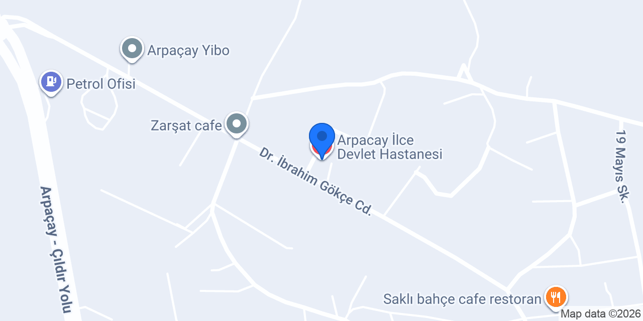 Arpacay İlce Devlet Hastanesi konumu