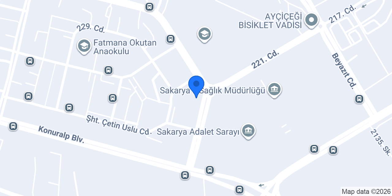 Yenikent Veteriner Kliniği konumu