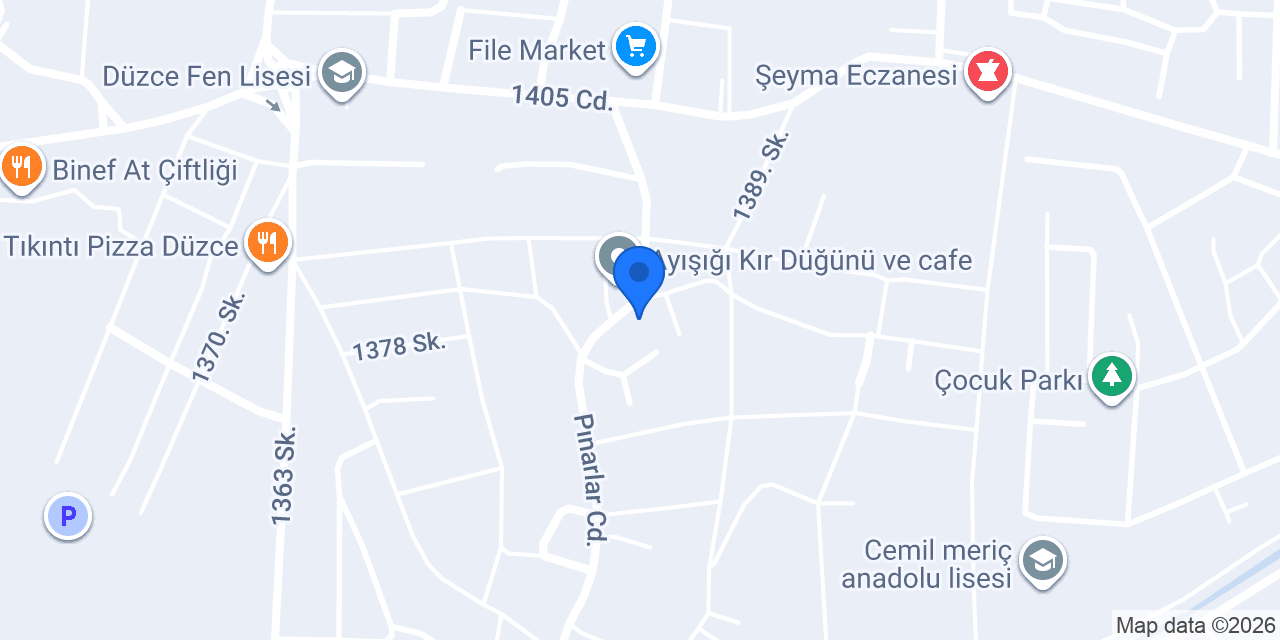 Şölen pide Düzce konumu