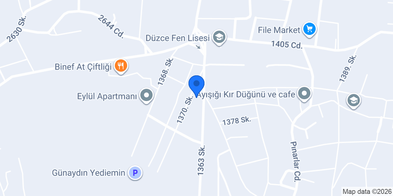 Tıkıntı Pizza Düzce konumu