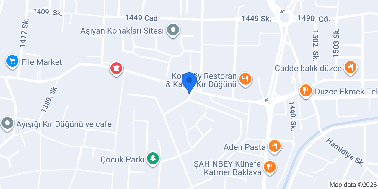 Özel Düzce Doğuş Ata Koleji konumu