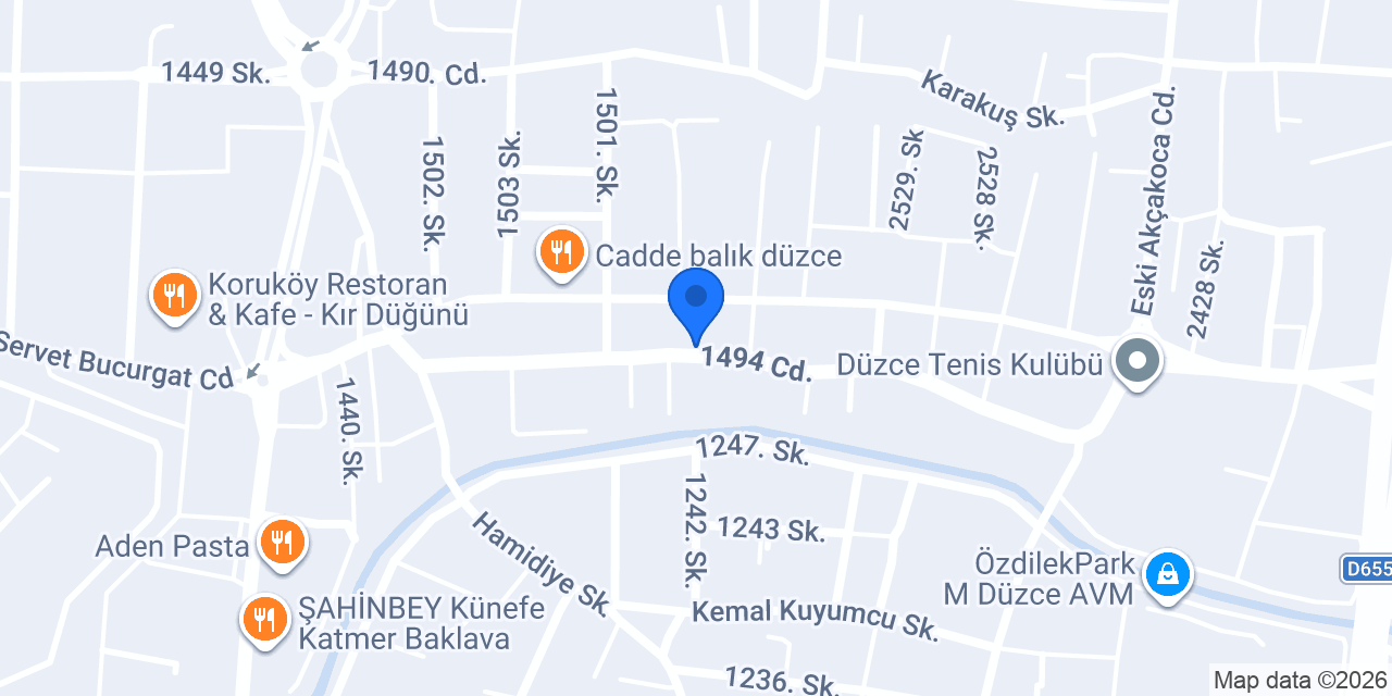 Düzce Özel Eğitim Anaokulu konumu