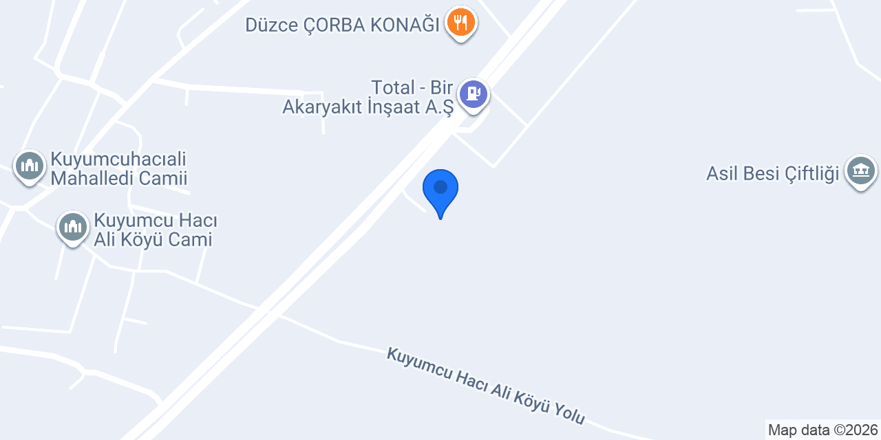 Yeşilçam Peyzaj/Düzce Park Bahçeler konumu