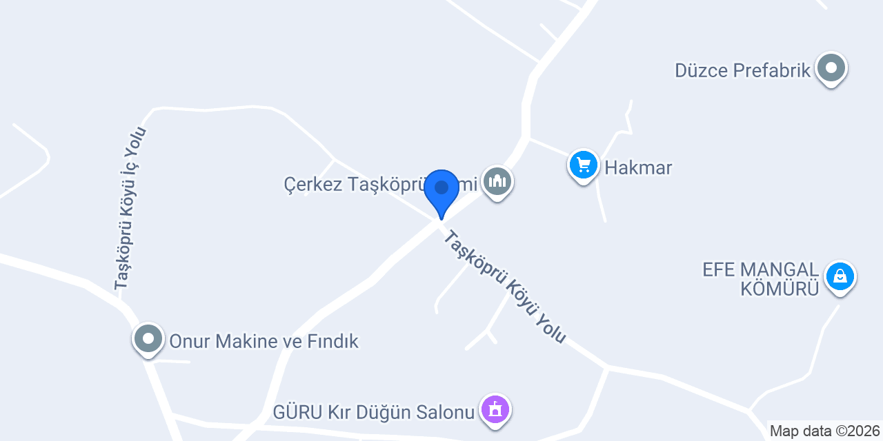 İnter Dzc konumu