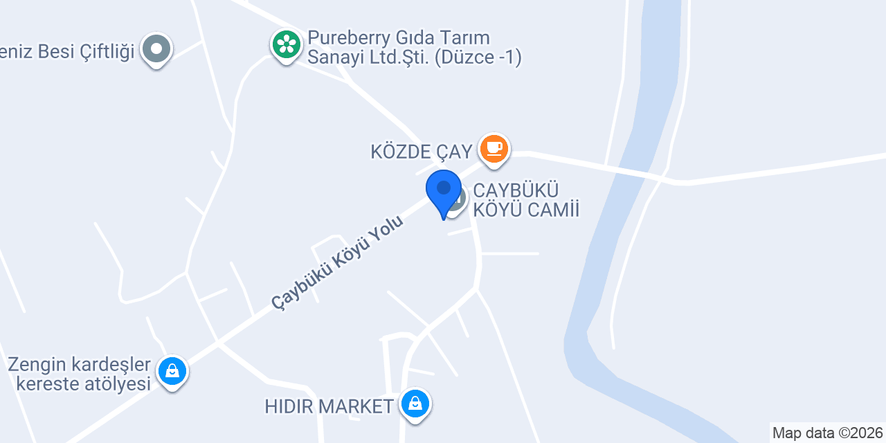 CAYBÜKÜ KÖYÜ CAMİİ konumu