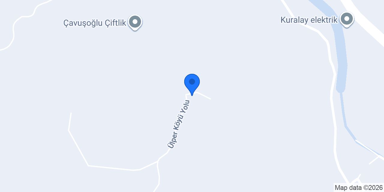 Adel Kalemcilik konumu
