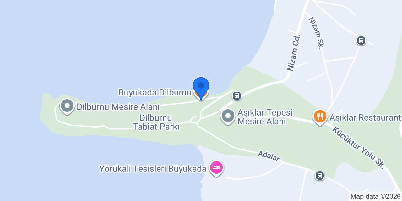 Buyukada Dilburnu konumu